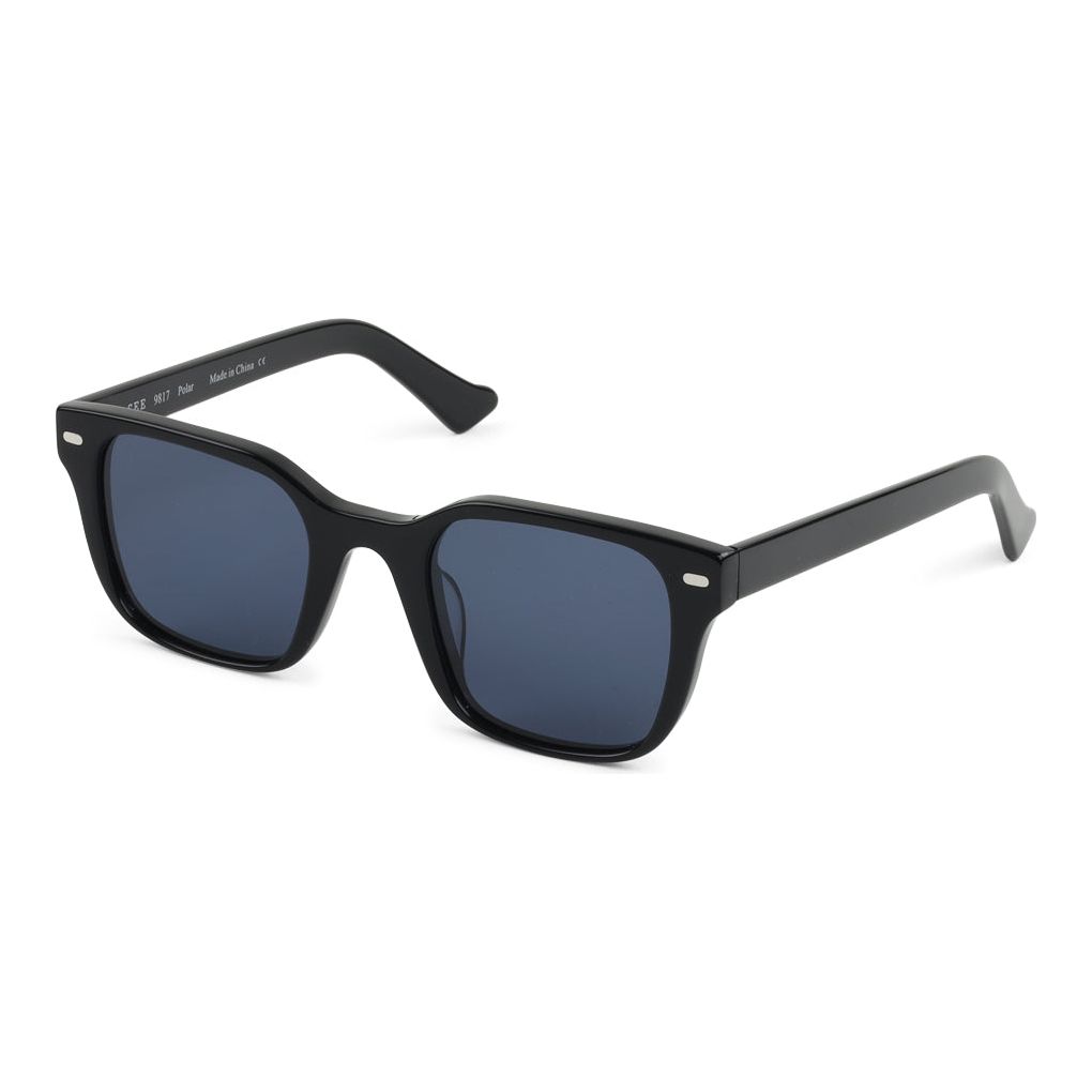 SEE 9817 Polar.