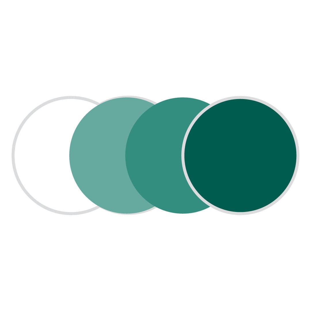 Premium Polycarbonate Transitions Lenses with AR.