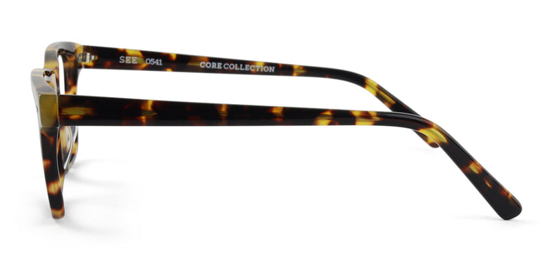 SEE 0541 Core