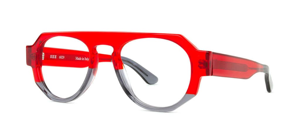SEE 6029 Sexy Specs™.