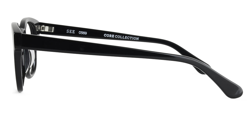 SEE 0569 Core.