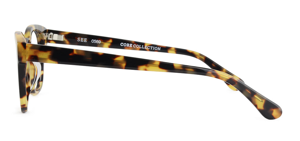 SEE 0569 Core.