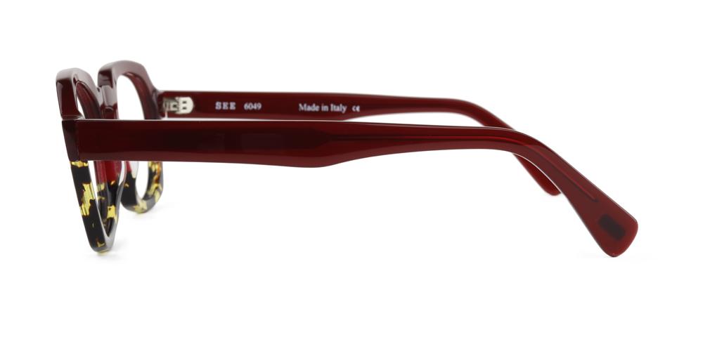 SEE 6049 Sexy Specs™.