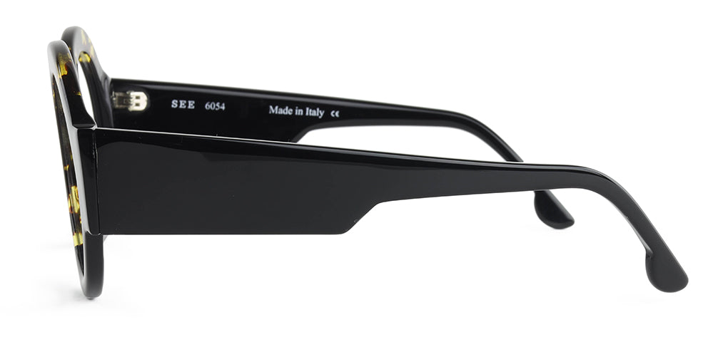 SEE 6054 Sexy Specs™.